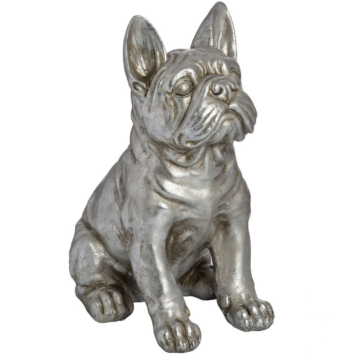 French Bull Dog