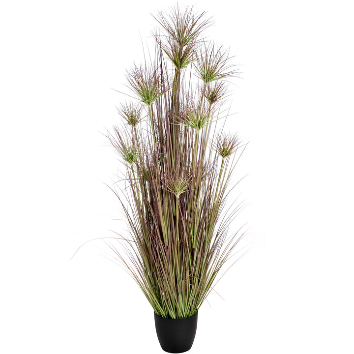 Water Bamboo Grass 72 Inch