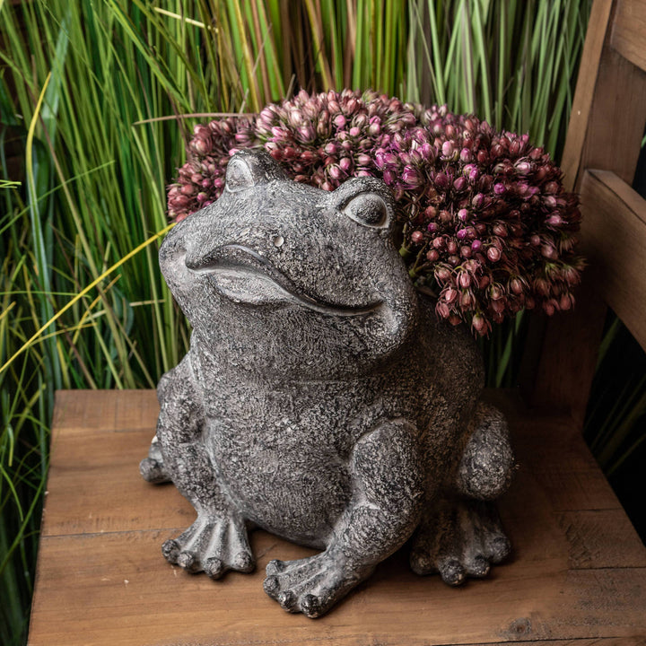 Frank The Frog Plant Pot Holder