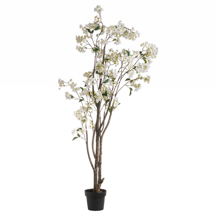 White Tree