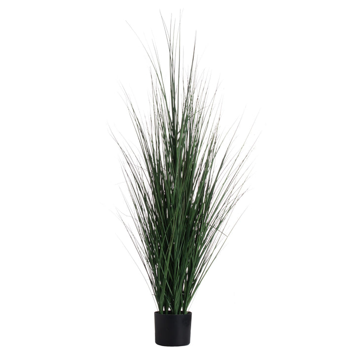 Tall Potted Grass Bush
