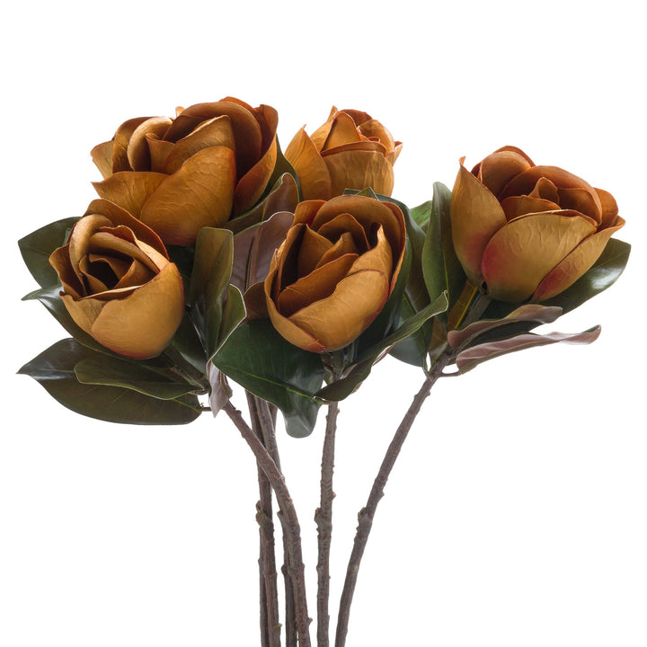 Deep Orange Magnolia Stem