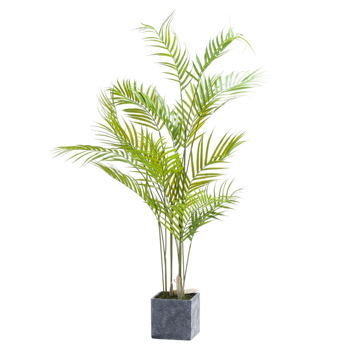 Paradise Potted Palm Tree