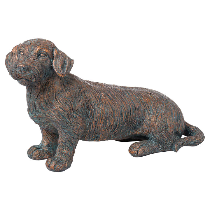 Rollie The Wire Haired Dachshund